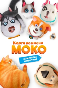 Сериал Корги по имени Моко. Домашние животные/Flying MOCO - Pet House 1 сезон онлайн